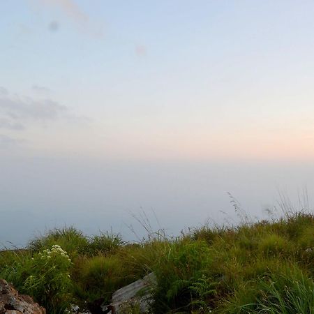 Olive Hill Top Hotel Haputale Esterno foto